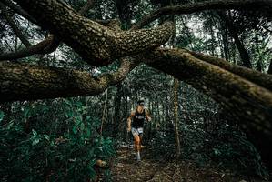 BIB: 
                            <button type="button" onclick="openModal(25707833)" class="btn btn-primary btn-sm float-right btn-popup" data-toggle="modal" data-target=".modal-high-quality">
                        <i class="fas fa-shopping-cart"></i> Add to Cart
                    </button>
                                            <button type="button" onclick="isThisMe(25707833, true)" class="btn btn-success btn-sm float-right btn-popup btn-isme hidden" data-toggle="tooltip" data-placement="bottom" title="นี่คือรูปของคุณใช่ไหม คลิกที่นี่เพื่อเอาเข้าอัลบั้ม">
                        <i class="fas fa-plus"></i> Add to album
                    </button>
                    <button type="button" onclick="isThisMe(25707833, false)" class="btn btn-warning btn-sm float-right btn-popup btn-isnotme hidden">
                        <i class="fas fa-ban"></i> Remove from album
                    </button>